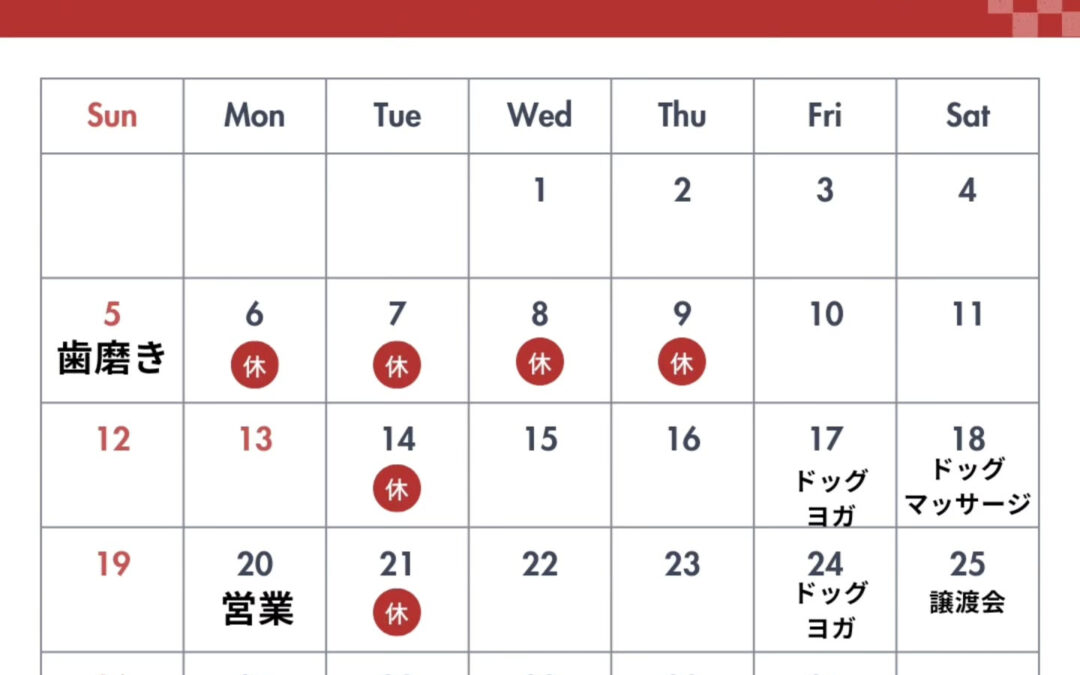 日頃よりワンコファミリアをご利用頂きありがとうございます
