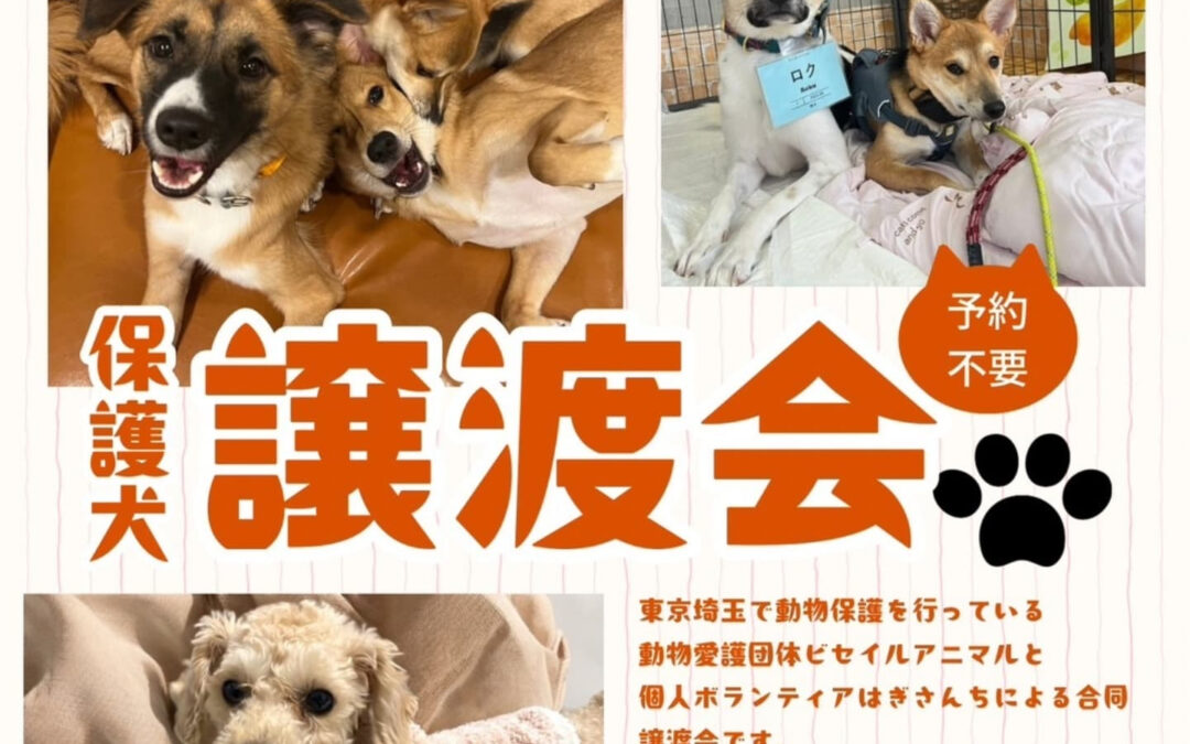 日頃よりワンコファミリアをご利用頂き誠にありがとう
