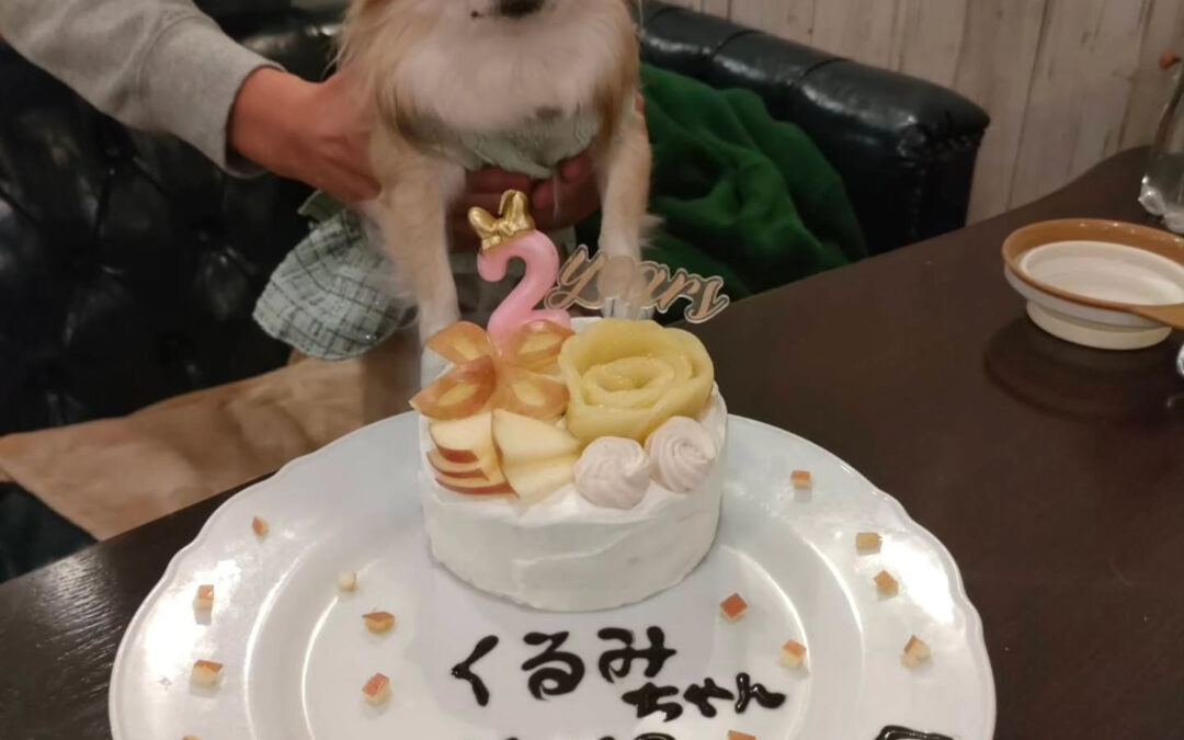 ⁡⁡⁡⁡⁡⁡⁡⁡⁡⁡⁡⁡⁡⁡⁡⁡⁡⁡⁡⁡⁡⁡日頃よりワンコフ