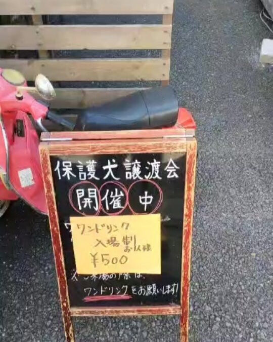 15:00まで開催中!!