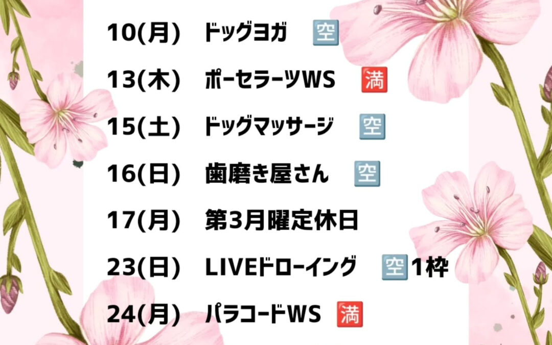 6(木) FABRIC roomWS 1枠