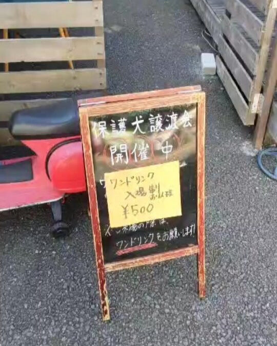 ️譲渡会!!