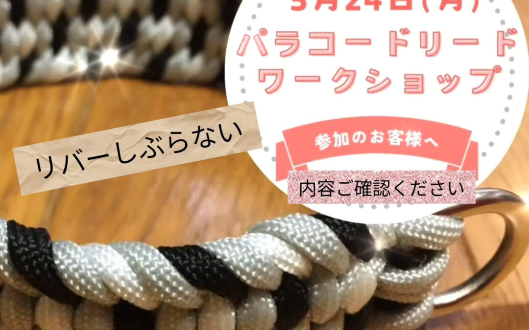 ⁡日頃よりワンコファミリアをご利用頂き誠にありがとうございま