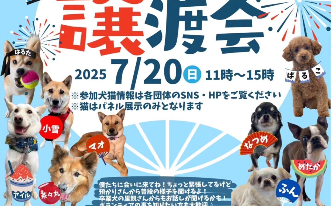 日頃よりワンコファミリアをご利用頂き誠にありがとうございます