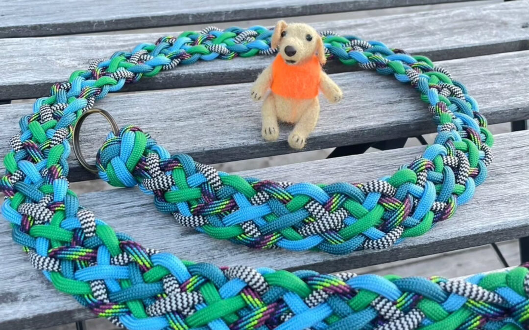 ⁡日頃よりワンコファミリアをご利用頂き誠にありがとうございま