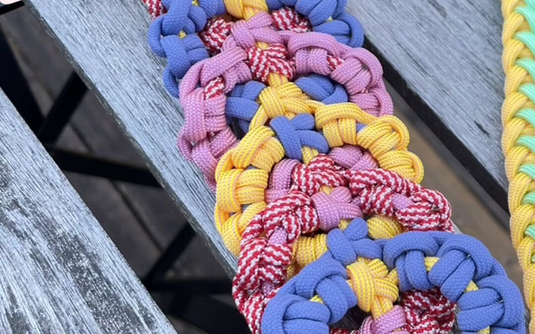 ⁡日頃よりワンコファミリアをご利用頂き誠にありがとうございま