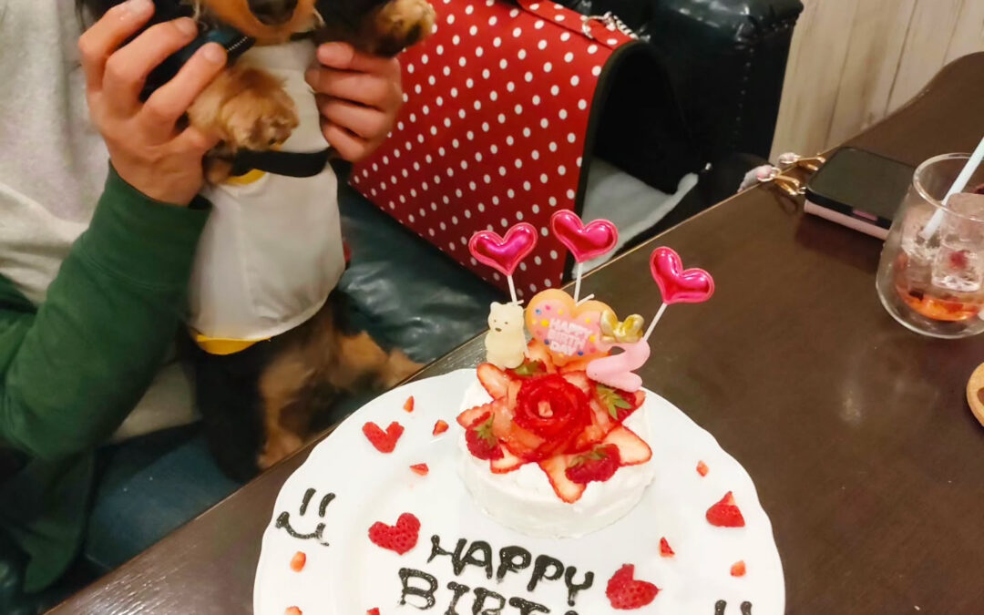 お誕生日おめでとう️⁡