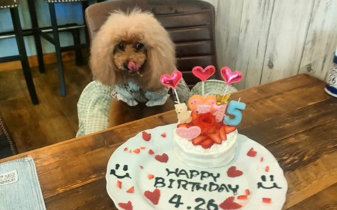 お誕生日おめでとう️⁡