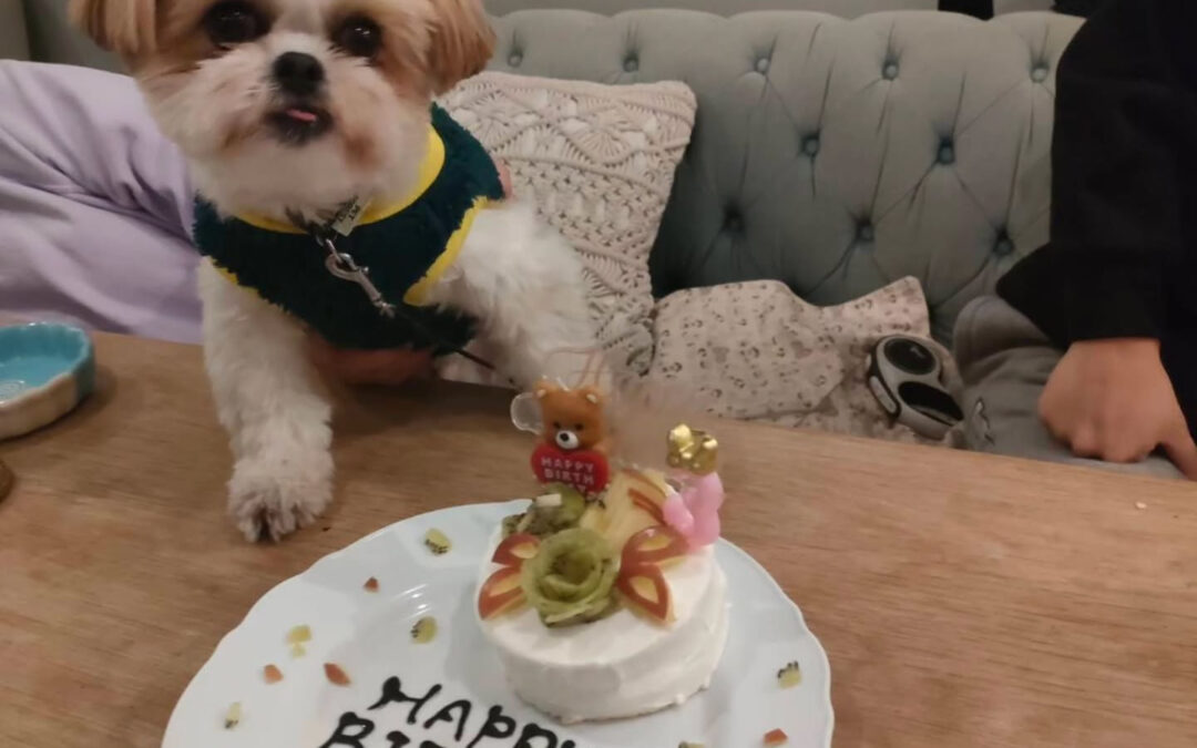 お誕生日おめでとう️⁡