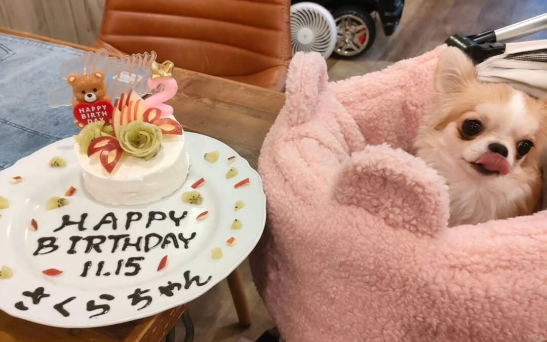 お誕生日おめでとう️⁡
