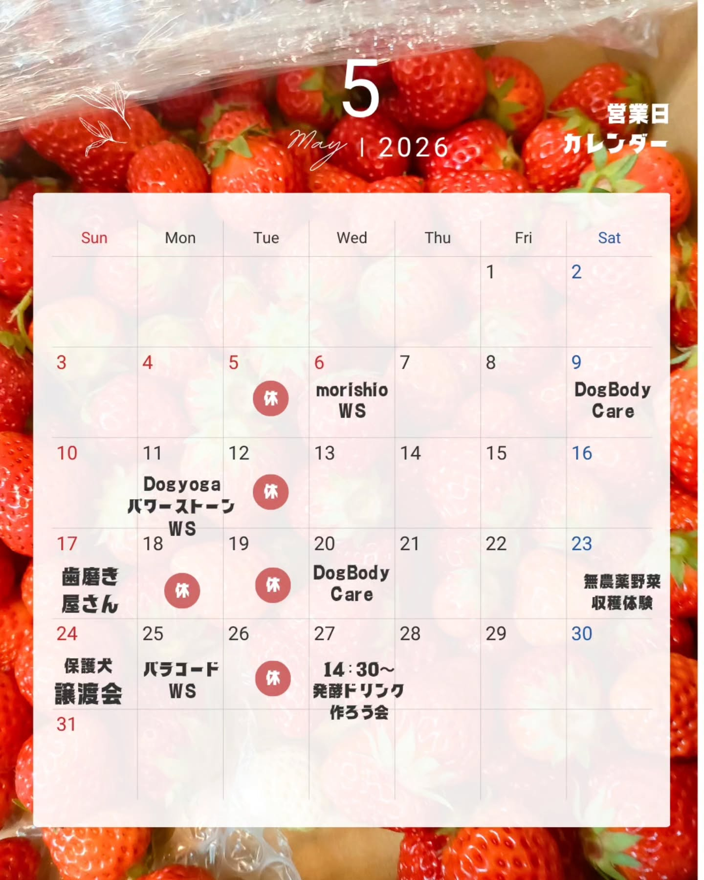 test