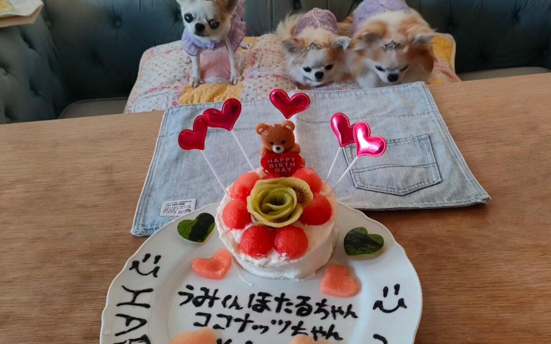 お誕生日おめでとう️⁡
