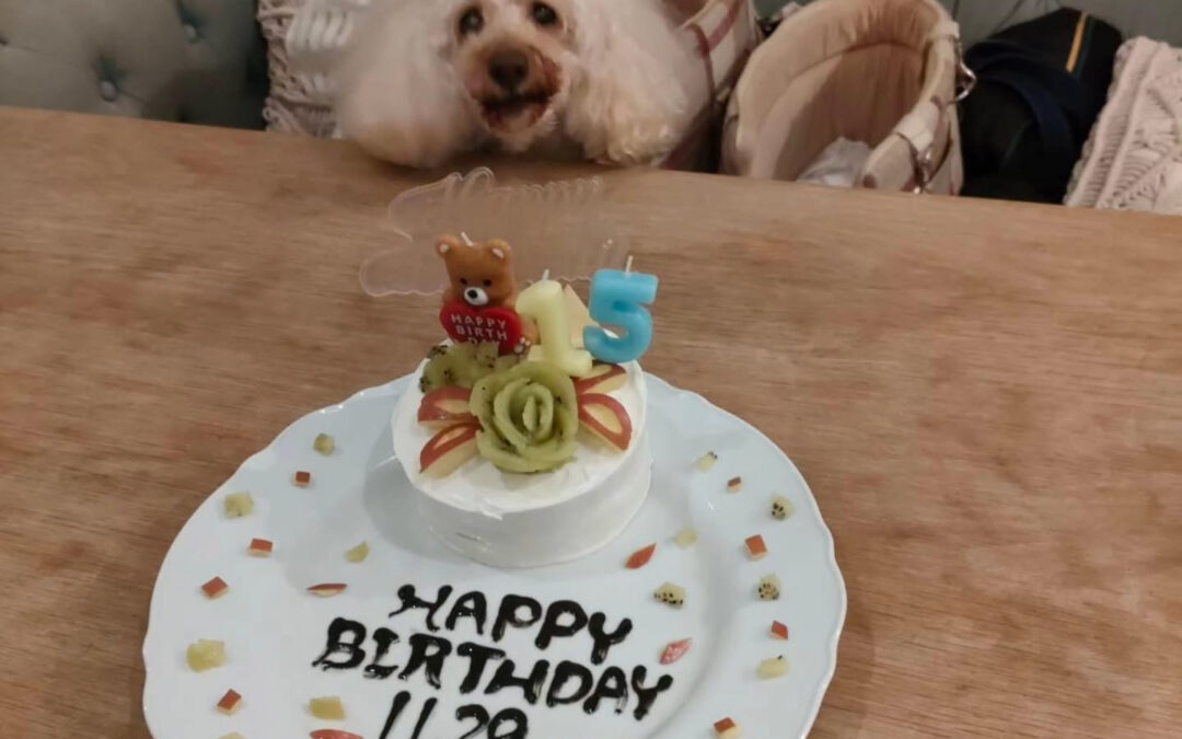 お誕生日おめでとう️⁡