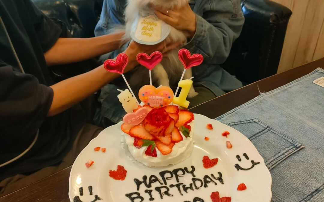 お誕生日おめでとう️⁡