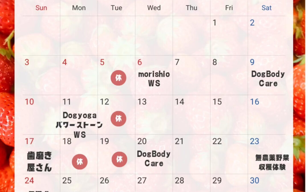 ☆5月イベントのお知らせ☆⁡⁡⁡⁡