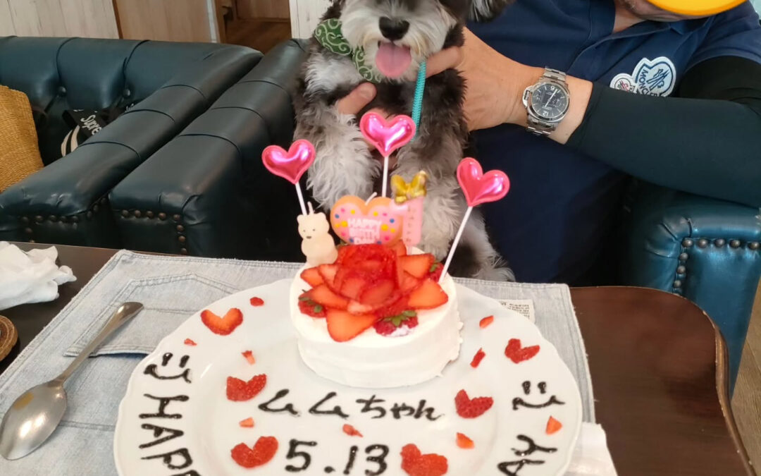 お誕生日おめでとう️⁡