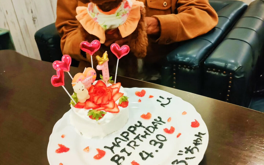 お誕生日おめでとう️⁡