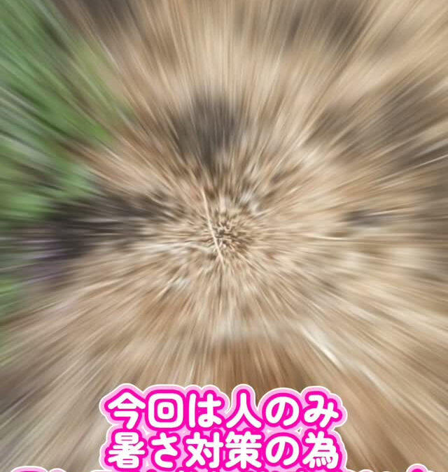 いつもWanCofamiliarをご利用頂きありがとうござい