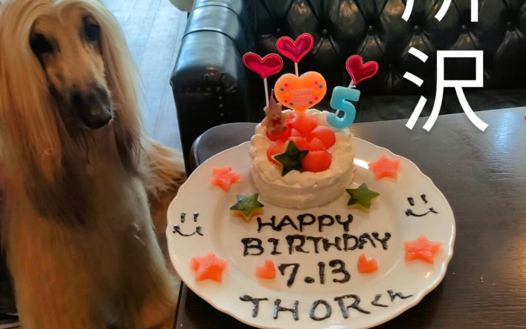 お誕生日おめでとう️⁡