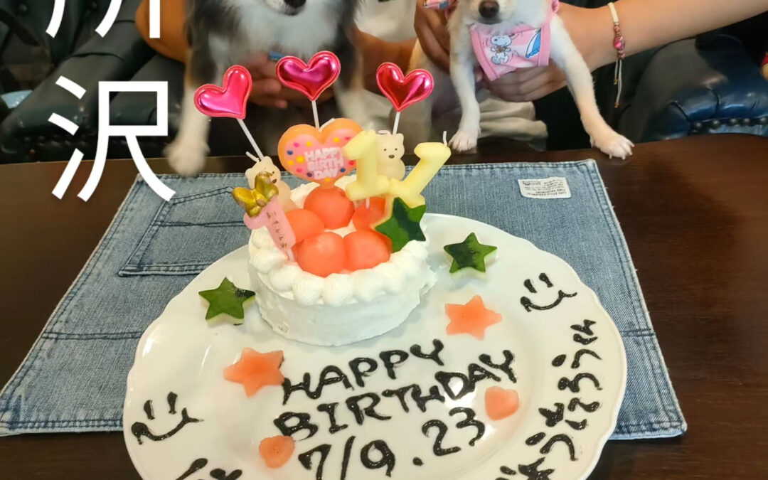 お誕生日おめでとう️⁡