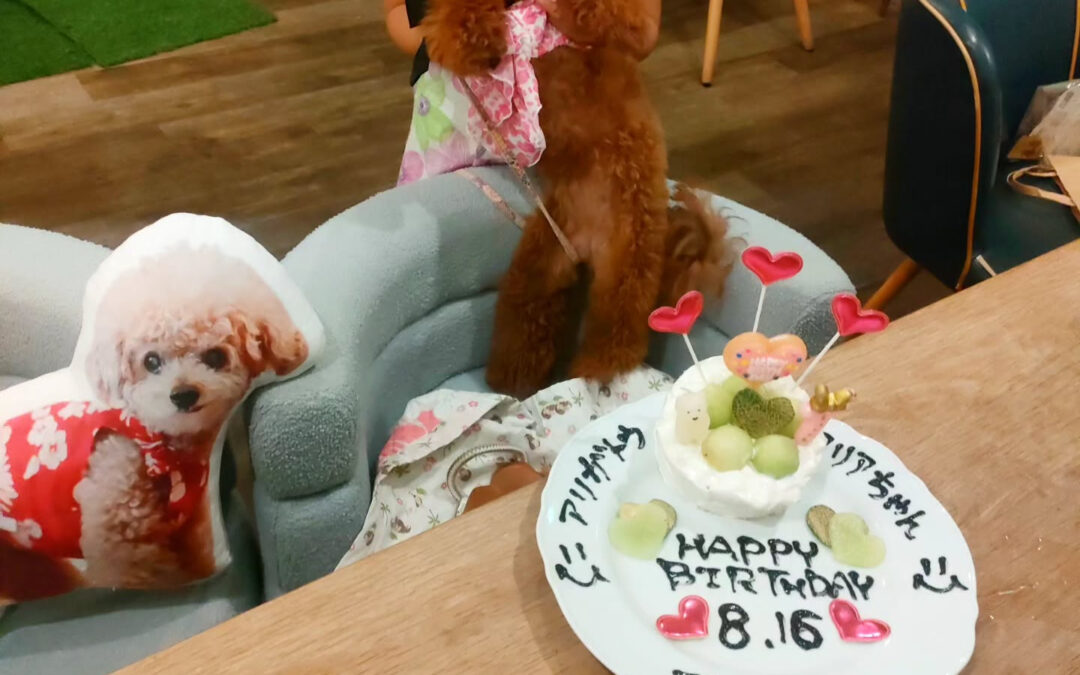 お誕生日おめでとう️⁡