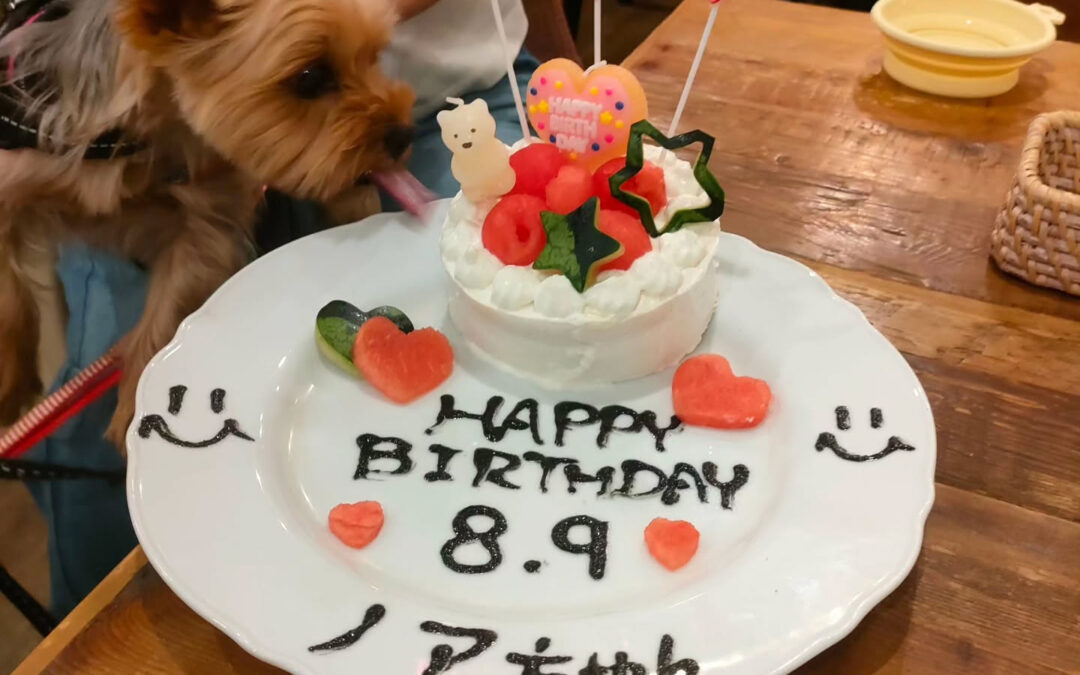 お誕生日おめでとう️⁡