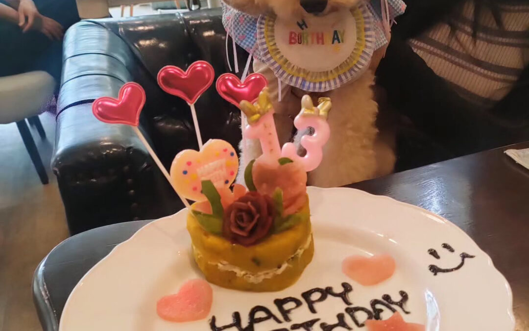 お誕生日おめでとう️⁡