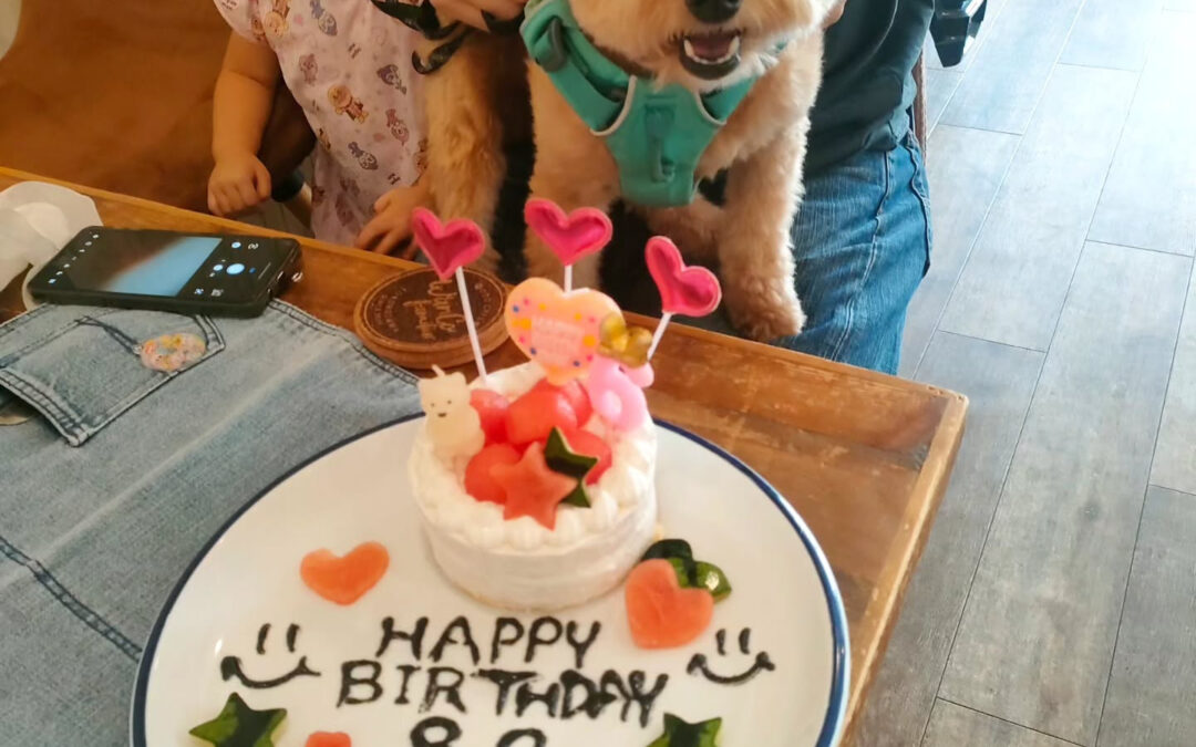 お誕生日おめでとう️⁡