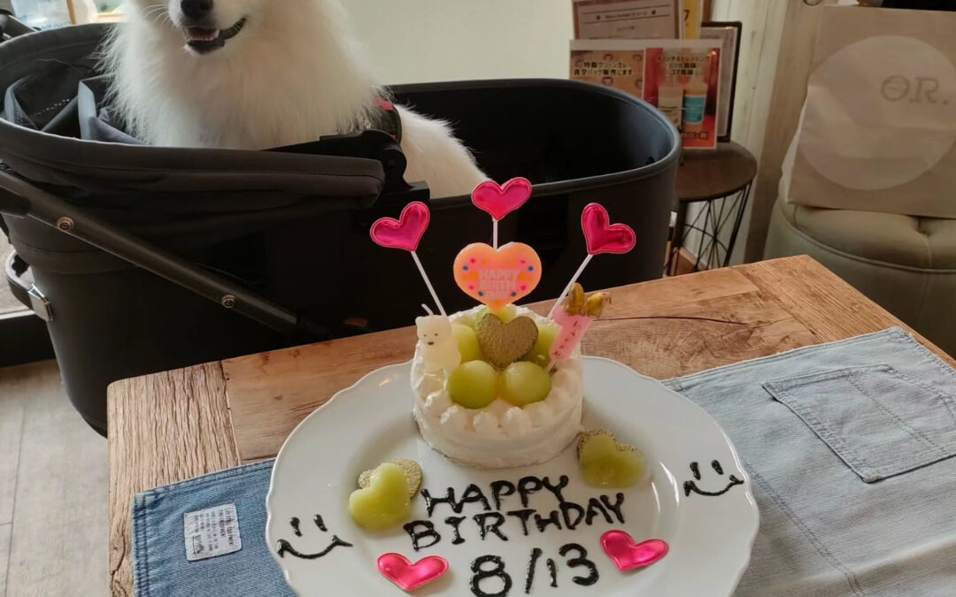 お誕生日おめでとう️⁡