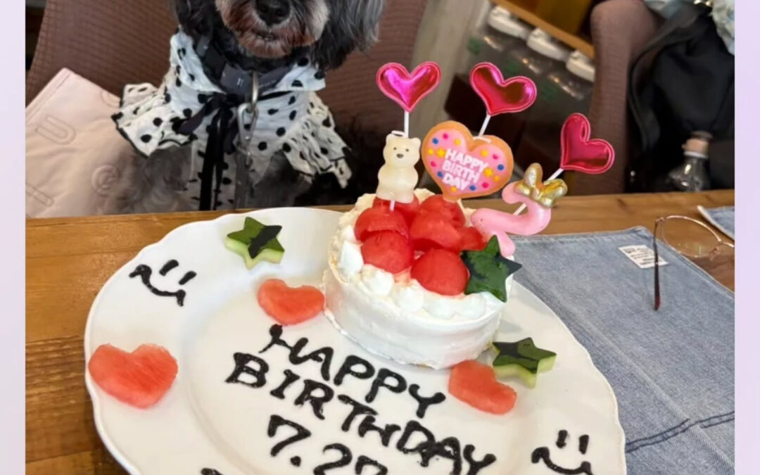 お誕生日おめでとう️⁡