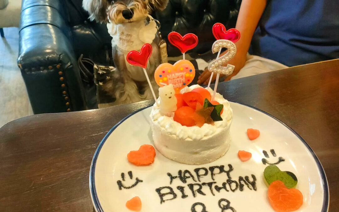 お誕生日おめでとう️⁡