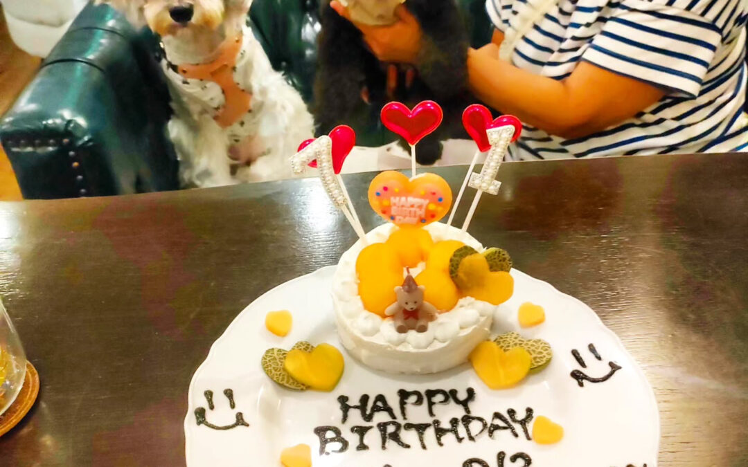 お誕生日おめでとう️⁡