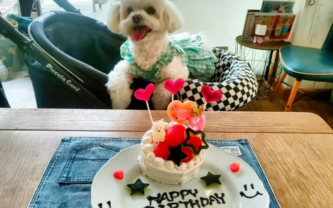 お誕生日おめでとう️⁡