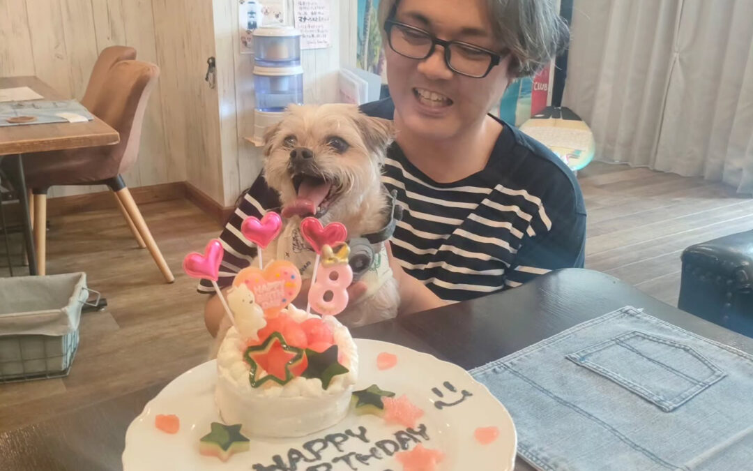 お誕生日おめでとう️⁡