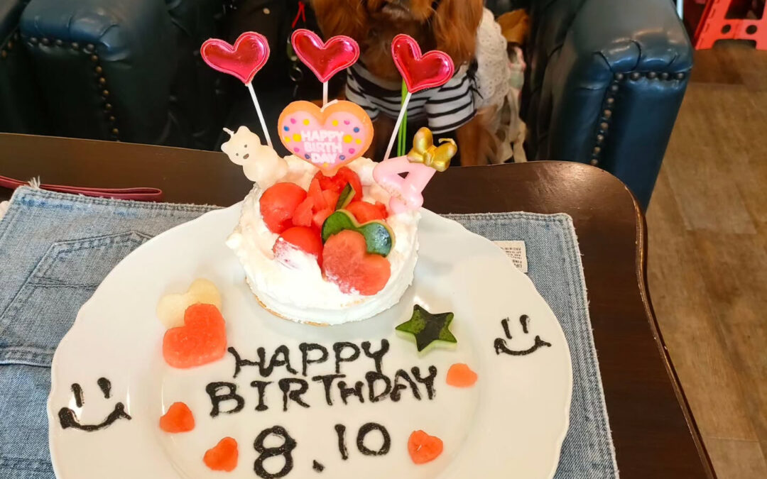 お誕生日おめでとう️⁡