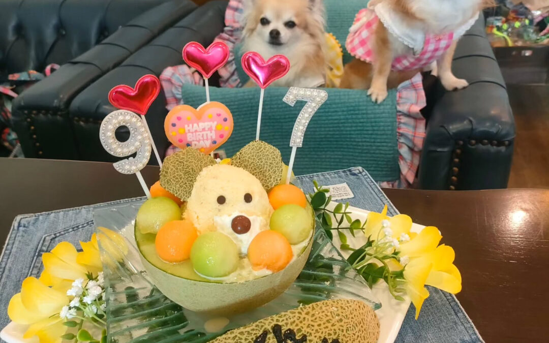 お誕生日おめでとう️⁡