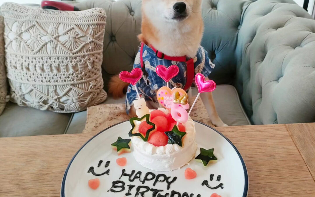 お誕生日おめでとう️⁡