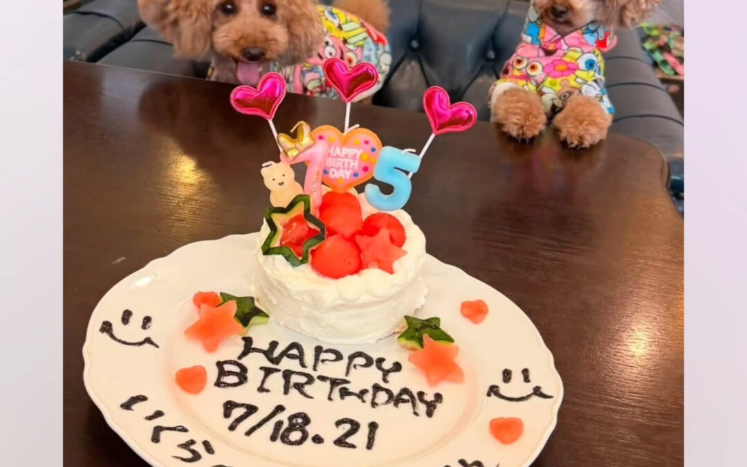 お誕生日おめでとう️⁡