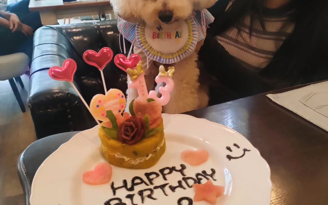 お誕生日おめでとう️⁡