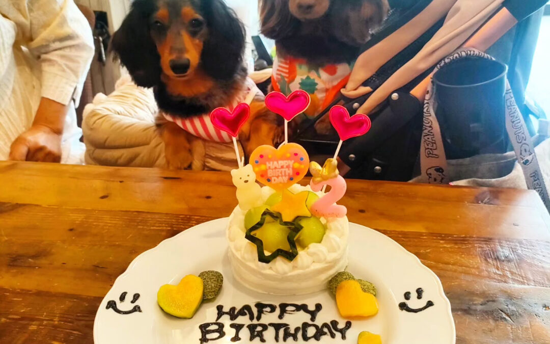 お誕生日おめでとう️⁡