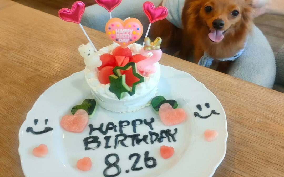 お誕生日おめでとう️⁡