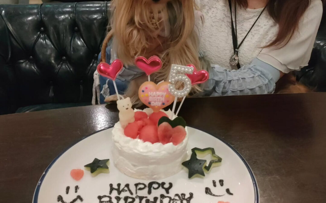 お誕生日おめでとう️⁡