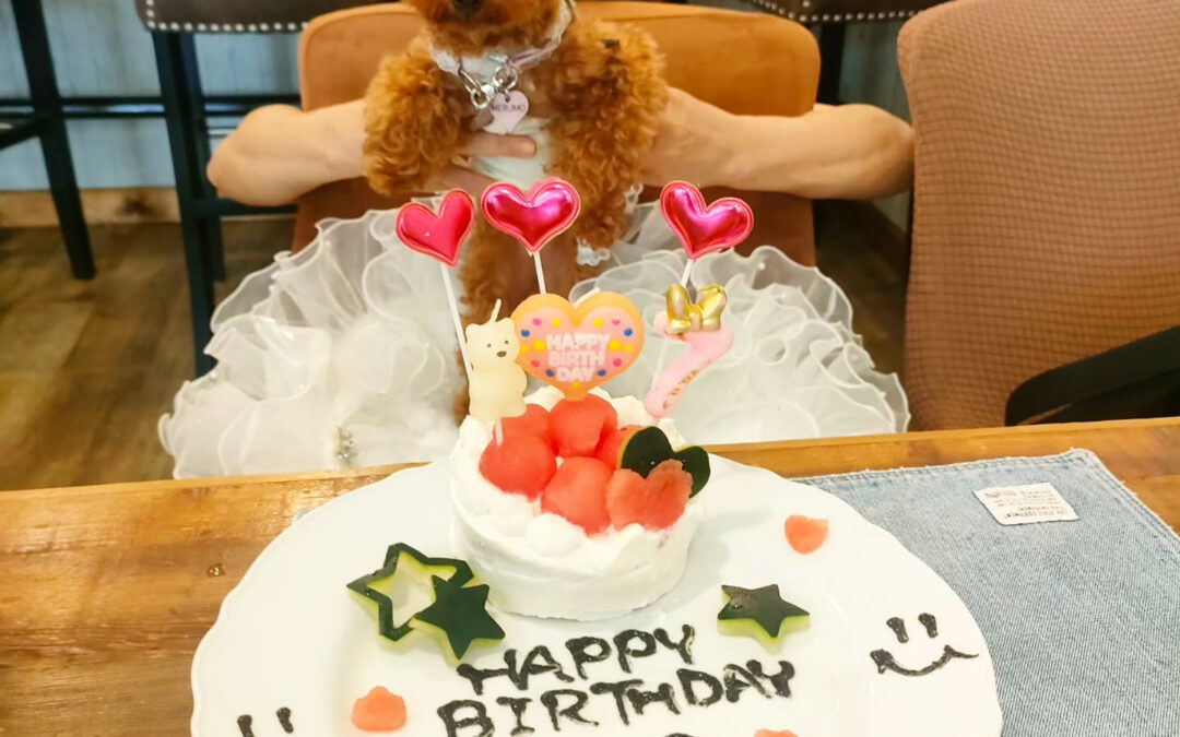 お誕生日おめでとう️⁡