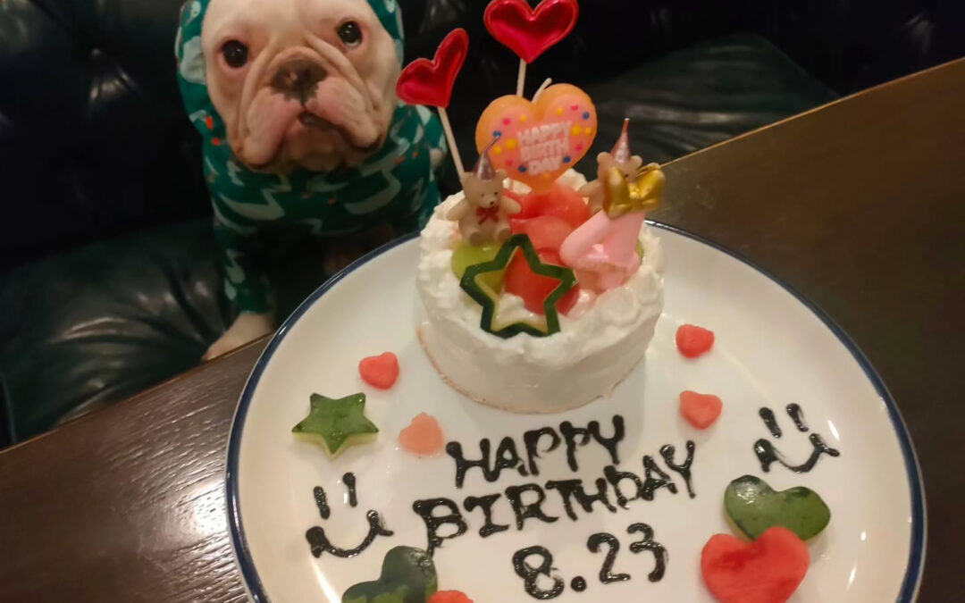 お誕生日おめでとう️⁡