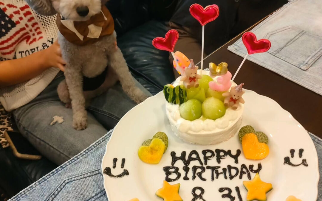 お誕生日おめでとう️⁡